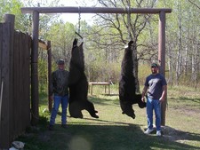 Spring Bears in 2008 at the Riverside Lodge.